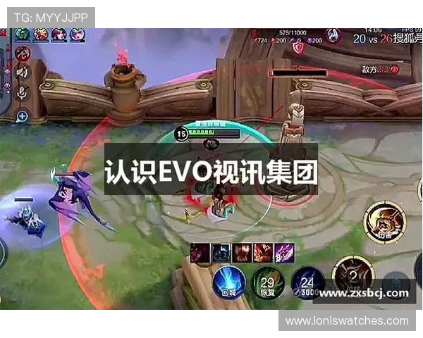 EVO真人游戏中的常见问题与解决方案，帮助新手快速适应游戏环境